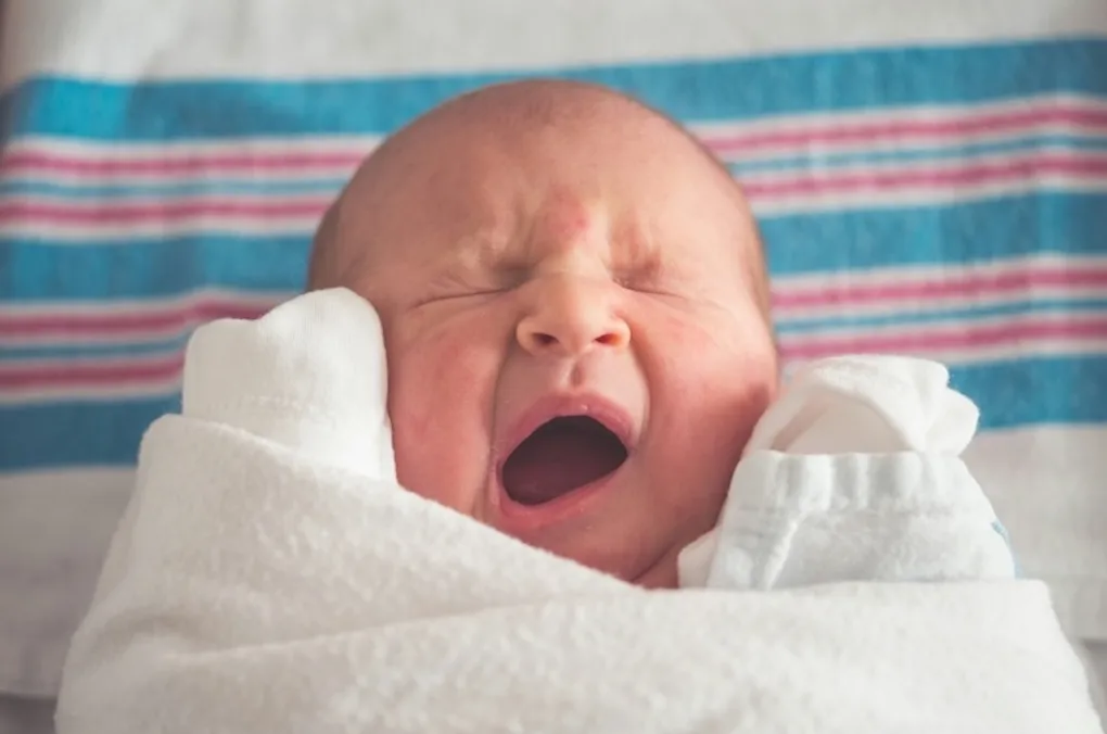 Announcing Piglet